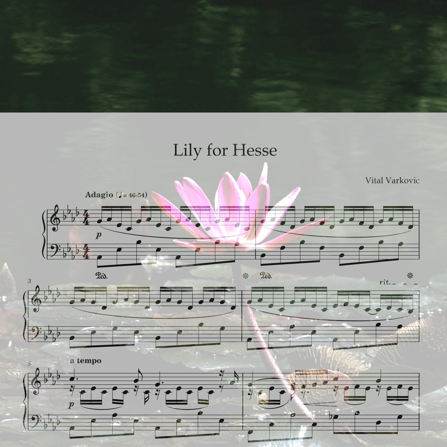 Lily for Hesse - Piano Sheet Music (PDF Download)